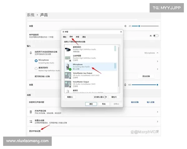 使用MorphVox Pro实现语音变换指南 使用MorphVox Pro实现语音变换指南