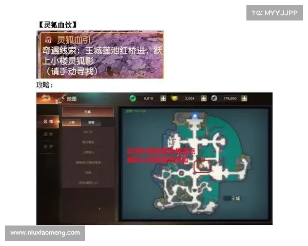 御龙在天紫装全攻略:获取绝密技巧一览 御龙在天紫装全攻略:获取绝密技巧一览